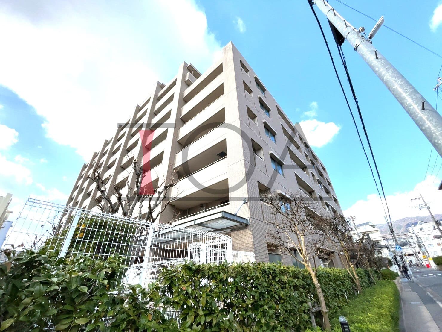 ジークレフ御影